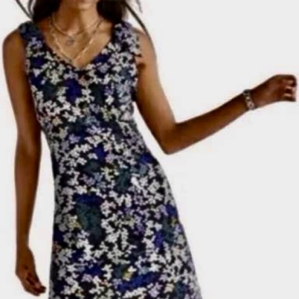 Cabi Cinco Dress Size Small